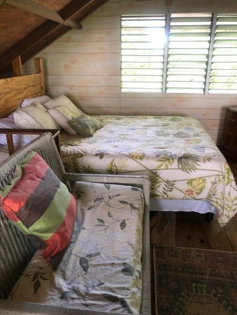 Ginger Lodge Cottage, Peters Rock, Woodford Po St Andrew, Jamaica - This Property Is Not In Jacks Hill Kingston Extérieur photo