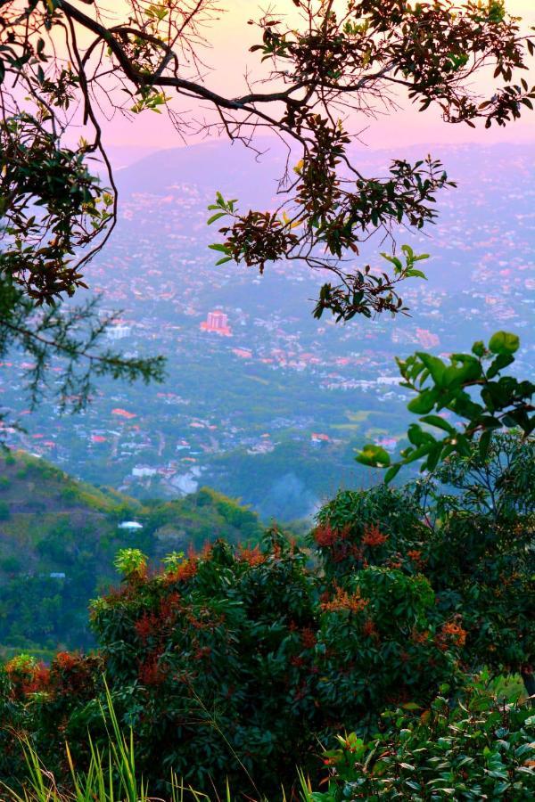 Ginger Lodge Cottage, Peters Rock, Woodford Po St Andrew, Jamaica - This Property Is Not In Jacks Hill Kingston Extérieur photo