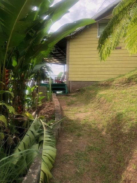 Ginger Lodge Cottage, Peters Rock, Woodford Po St Andrew, Jamaica - This Property Is Not In Jacks Hill Kingston Extérieur photo